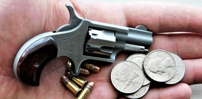 North American Arms Mini Revolver in 22 Short