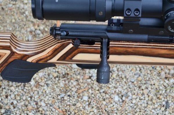 The laminated maple in the Coyote grain has a rough and rugged look. It looks classic and modern at the same time.