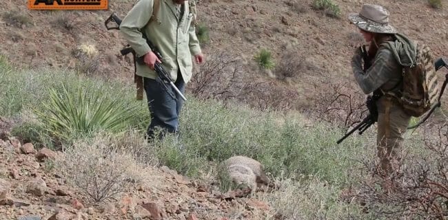 Javelina Hunting