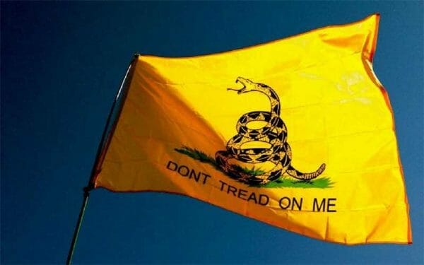 Don't Tread On Me Flag