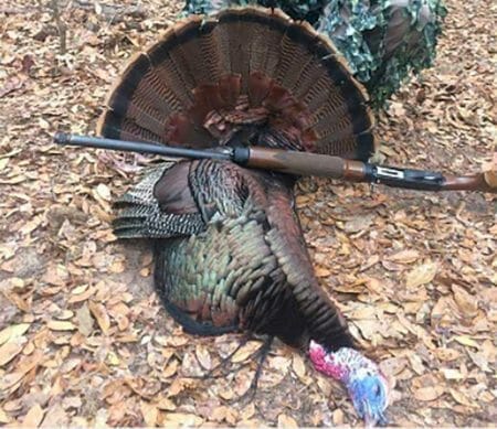 Stoeger Shotgun Delivers Record-Breaking Turkey to Florida Hunter