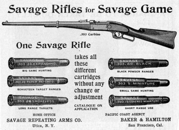 303 Savage Rifle and Ammo