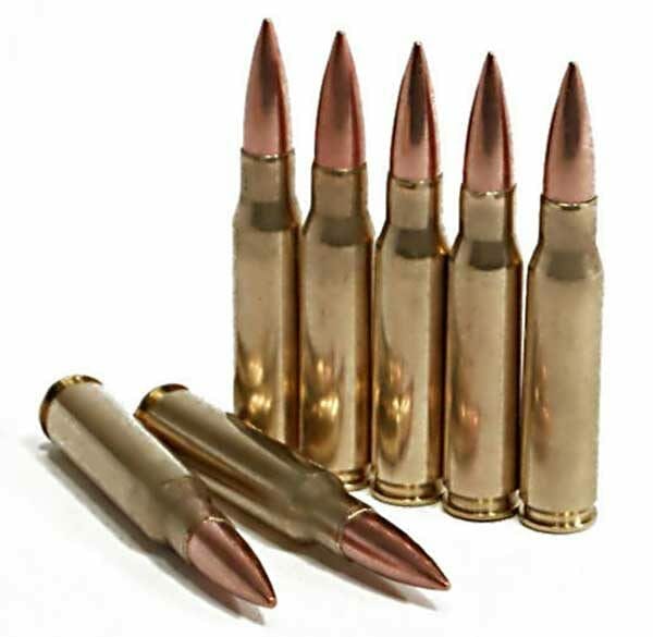 .308 WINCHESTER (7.62x51)