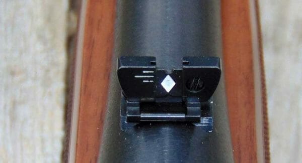 Henry Single Shot Rifle in 45-70 Rear Sight