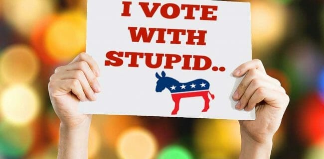 I Vote with Stupid Democrats