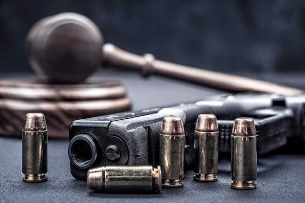 Lawsuit Court Guns Law Judgment Injunction
