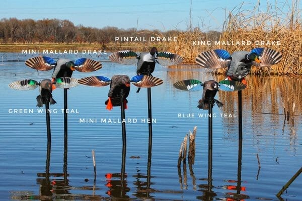 Mojo Elite Series Duck Decoys Now Shipping To Dealers