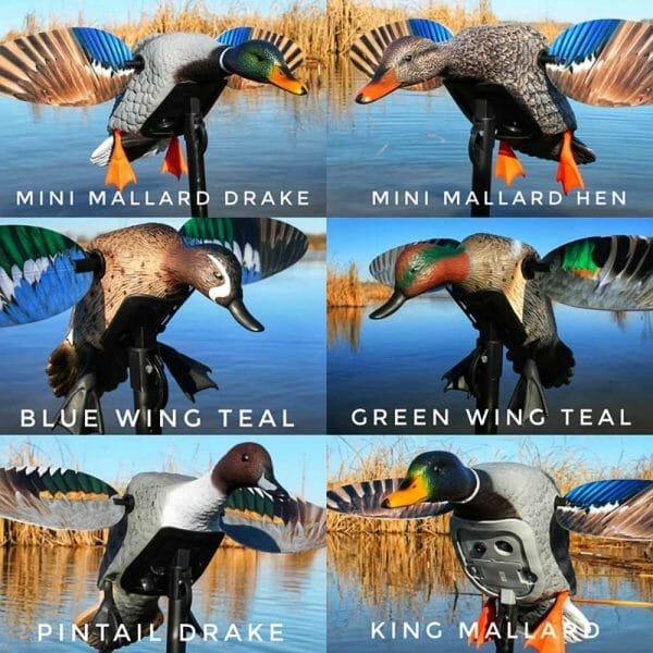 Mojo Elite Series Waterfowl Duck Decoys