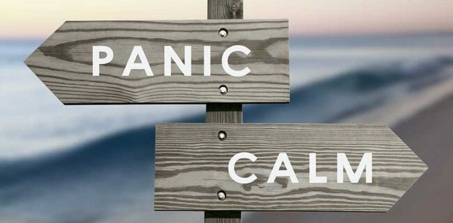 Panic Calm Chicken Little Sky is Falling