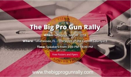 The Big Pro-Gun Rally