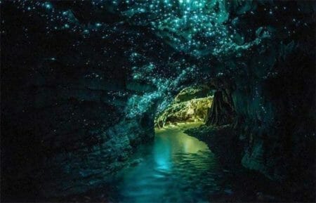 Waitomo Caves, Waitomo, New Zealand