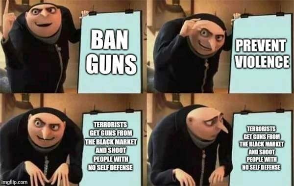 Gru's Gun Ban Plan
