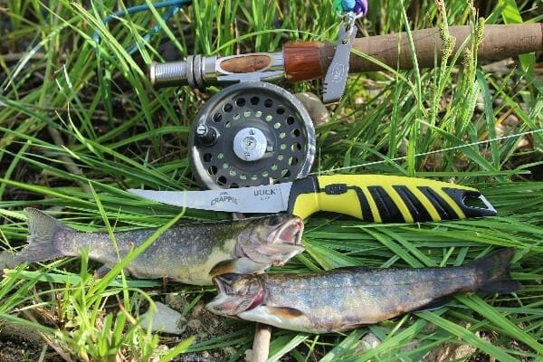 The Buck Knives Mr. Crappie Folding Slab Shaver Fishing Knife works great on little trout.
