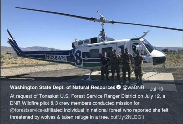 Woman Treed by Wolves Waits for Authorities to Allow Rescue