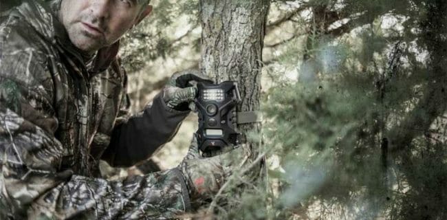 Wildgame Innovations Terra Series Digital Scouting Cameras