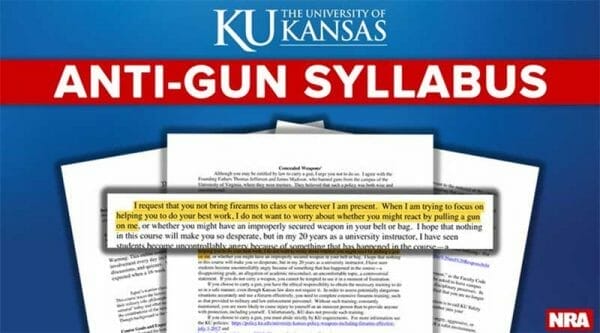 anti-gun syllabus