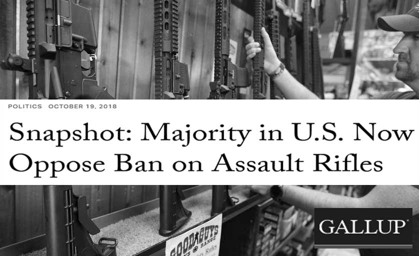 Poll: Most Americans Oppose Ban on â€œAmericaâ€™s Rifleâ€