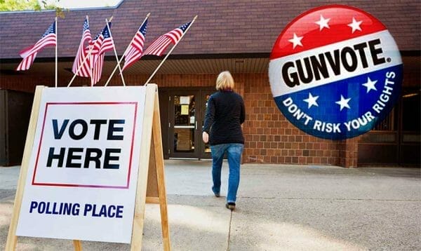 Gun Voter Vote Ballot Polling Election