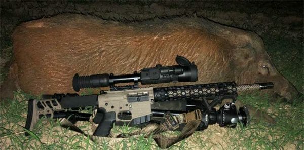 Sightmark Photon RT Night Vision Scope Hog Hunting Success