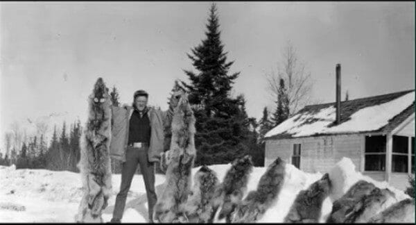 Roy Eykamp recounts how to hunt wolves from an airplane in Canada. Roy is 100 years old, and living in Australia. The wolf hunt occurred in 1951.