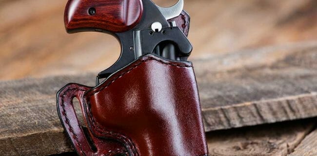 Derringer Handgun in Holster on Wood Background