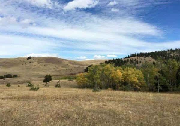 Buxbaum-Boulder Creek Ranch