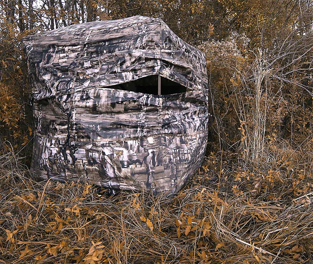 Primosâ€™ Double Bull SurroundView 360