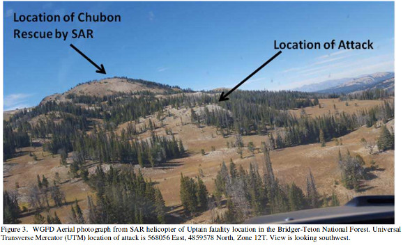 Final Report: Was Bear Spray Effective in the Mark Uptain Grizzly Fatality?