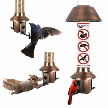 Roamwild PestOff Squirrel Proof Wild Bird Feeder