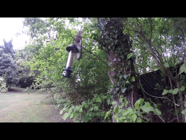 Ex Dyson Engineer Designs 100 Squirrel Proof Bird Feeder Video