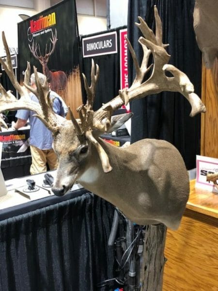 Taxidermy on display at SCI Convention: A record nontypical deer loaded with antler.