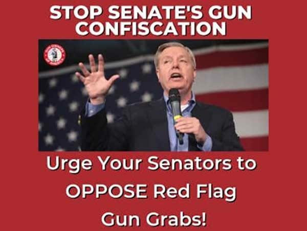 Republicans Now Want Gun Confiscation