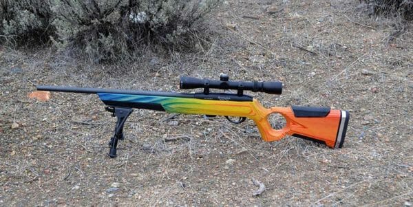 Boyds At-One thumbhole stock Remington 597