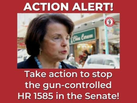 Stop Pelosi’s Scheme to Push Gun Control Though the Senate