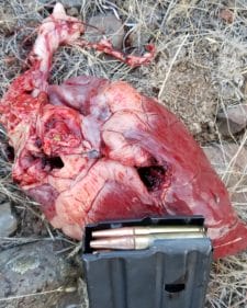 This Federal round left a 1" crater in the backside of a mule deer's heart last year, at 190 yards from a 6.5" (V7) barrel.