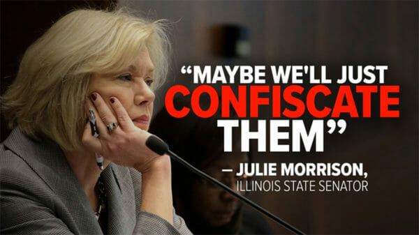 Arrogant Illinois State Democrat Senator Julie Morrison