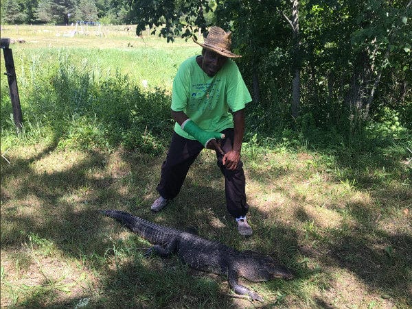 Michigan Man used Pistol to Defend against Six Foot Alligator, Image from Tuscola County Sheriffs Department