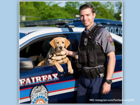 Fairfax County Police Department