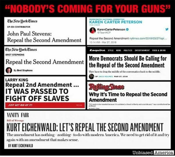 Repeal the Second Amendment