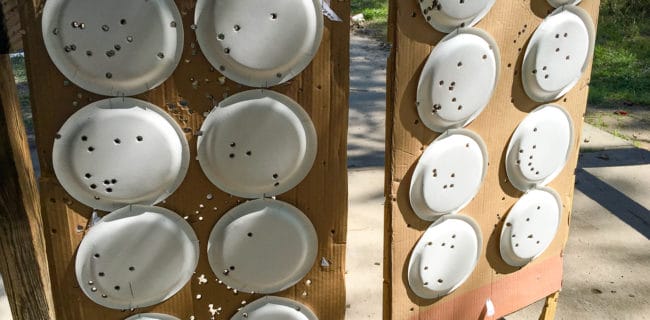 Paper plate targets