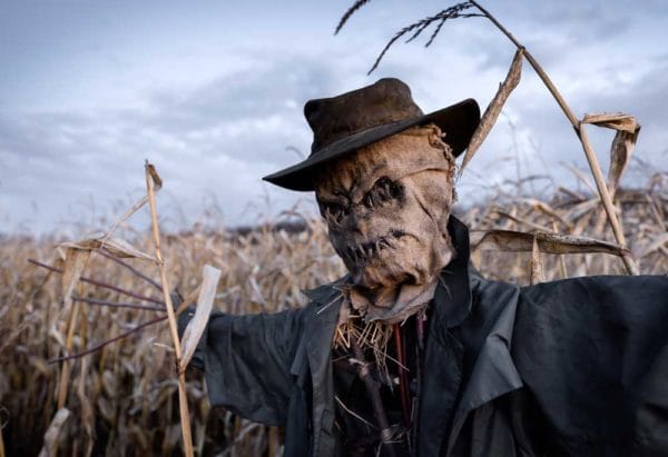 Scary Scarecrow Strawman Bogus iStock-1015388332