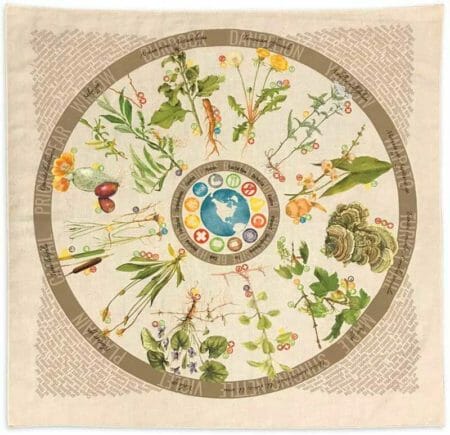Wazoo Bandana Foraging Field Reference Wazoo Bandana Foraging Field Reference