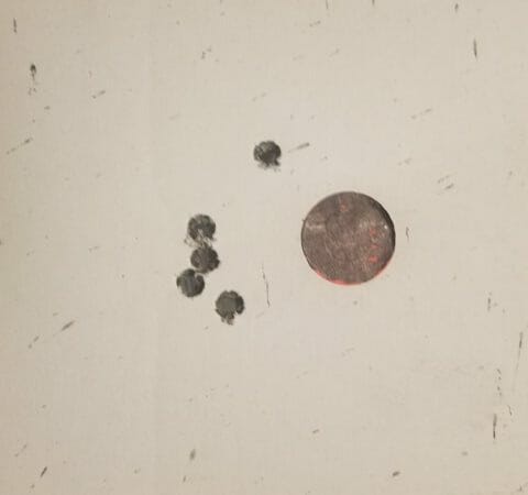 Palmetto State Armory Gen III PA-10 Rifle Palmetto State Armory PSA PA-10