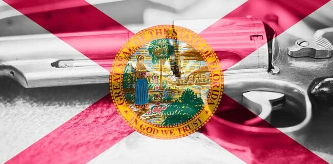 Gun Control in Florida Costs Lives, Allexxandar-iStock-884197090