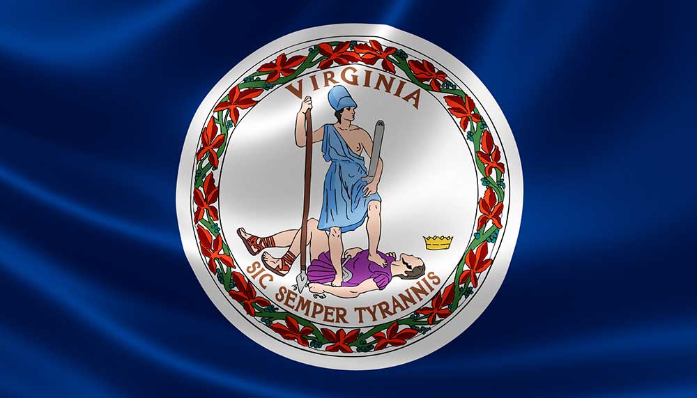 Virginia Rising Against The Advancing Political Sickness