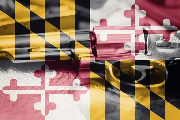 More Assaults on Maryland Gun Owners,  iStock-884191290, Allexxandar