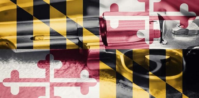 More Assaults on Maryland Gun Owners, iStock-884191290, Allexxandar