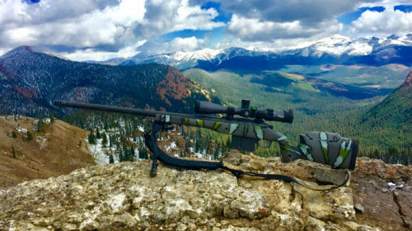 Image by Bryan Berg, cropped and scaled by Dean Weingarten . The .338 has a different scope in this picture.