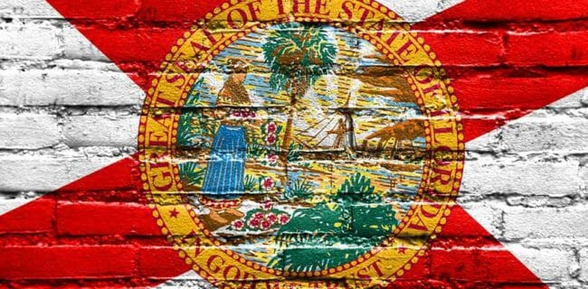 NRA-ILA Florida Flag Wall Paint