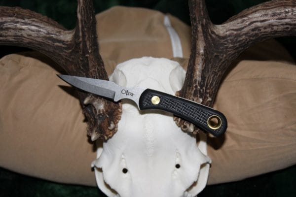 If you're in the market for a caping knife, look no further. Check out the Knives of Alaska Cub Bear.